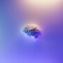 Neuroscience news